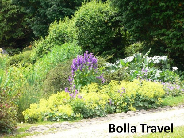 Bolla_Travel3.jpg