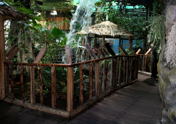 2008_17_1q2.jpg