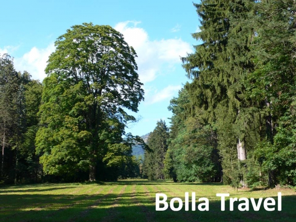 Bolla_Travel10.jpg