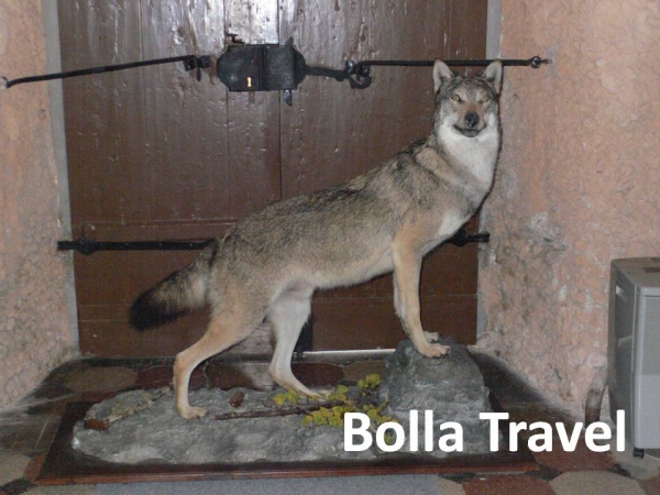 Bolla_Travel14.jpg