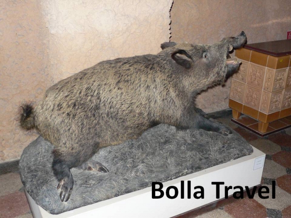 Bolla_Travel15.jpg