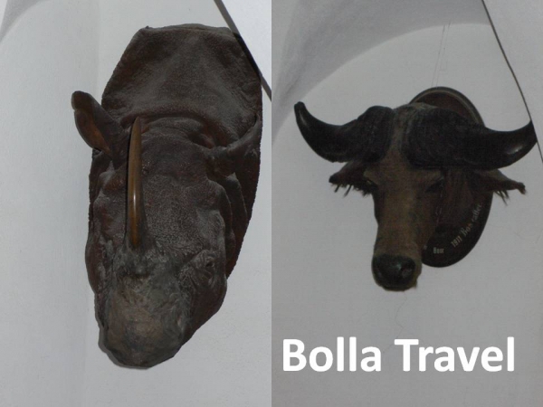Bolla_Travel17.jpg