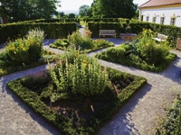 kuechengarten.jpg