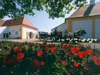 meierkutschfahrt.jpg