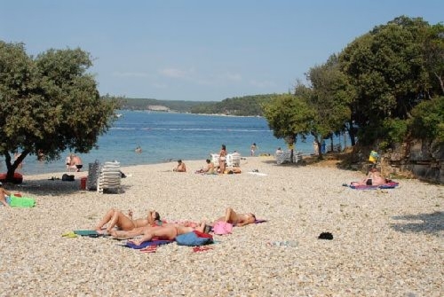 kep_673.jpg
