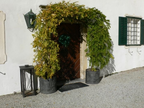P1050007a.jpg