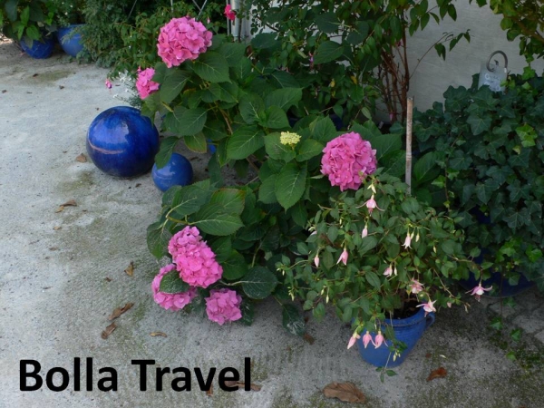Bolla_Travel10.jpg