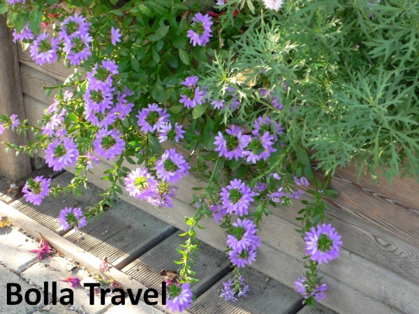 Bolla_Travel100.jpg