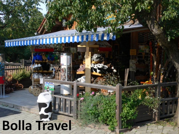 Bolla_Travel101.jpg