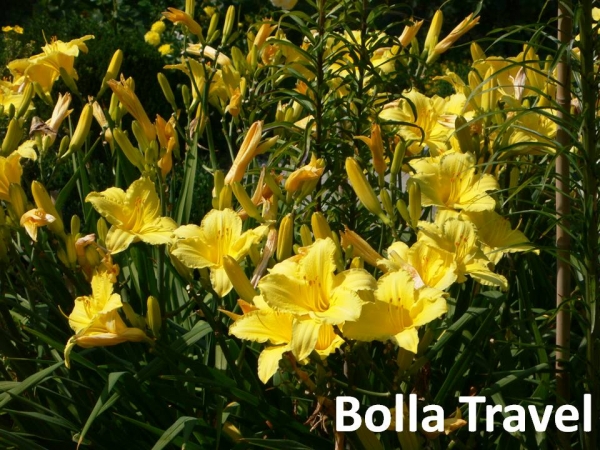 Bolla_Travel16.jpg