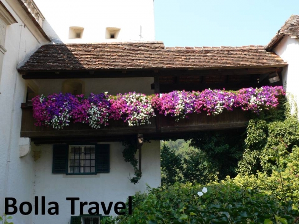 Bolla_Travel41.jpg