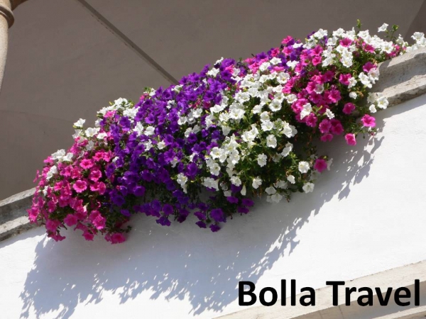 Bolla_Travel45.jpg