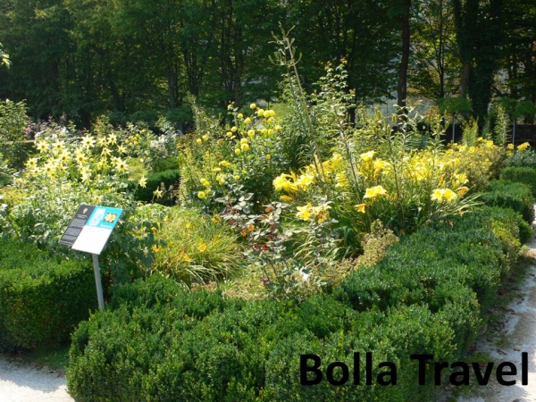 Bolla_Travel6.jpg