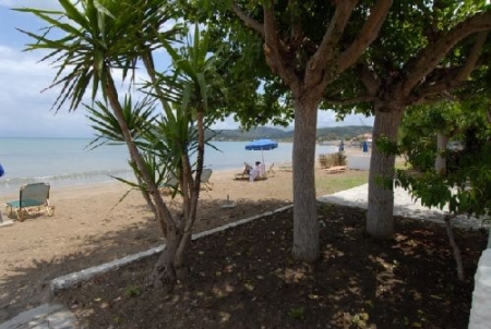 kep_620.jpg