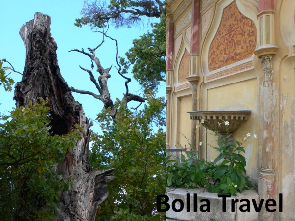 Bolla_Travel43.jpg