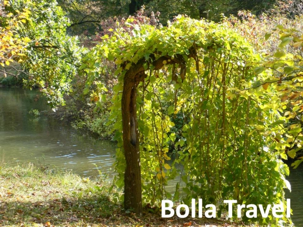 Bolla_Travel47.jpg