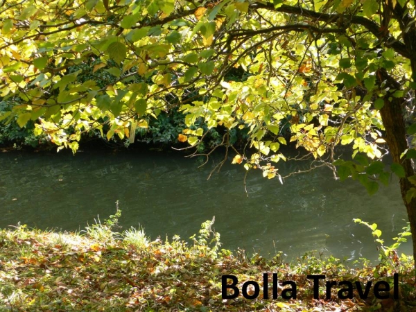 Bolla_Travel48.jpg