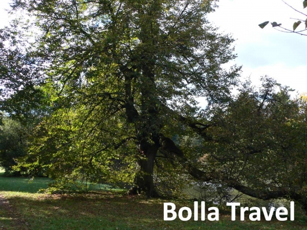 Bolla_Travel50.jpg
