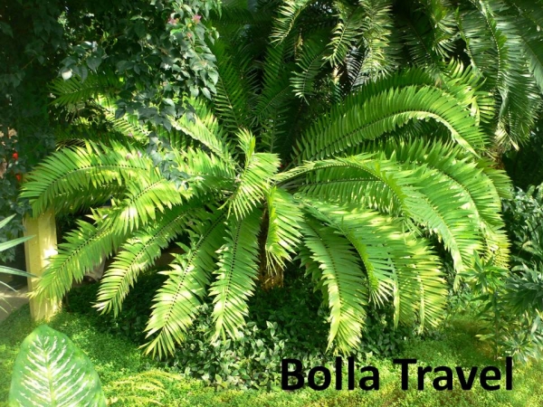 Bolla_Travel63.jpg