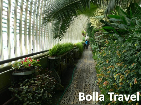 Bolla_Travel81.jpg