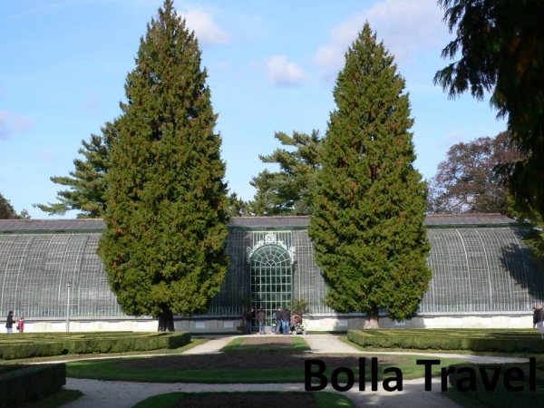 Bolla_Travel87.jpg