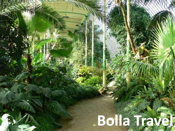 Bolla_Travel92.jpg