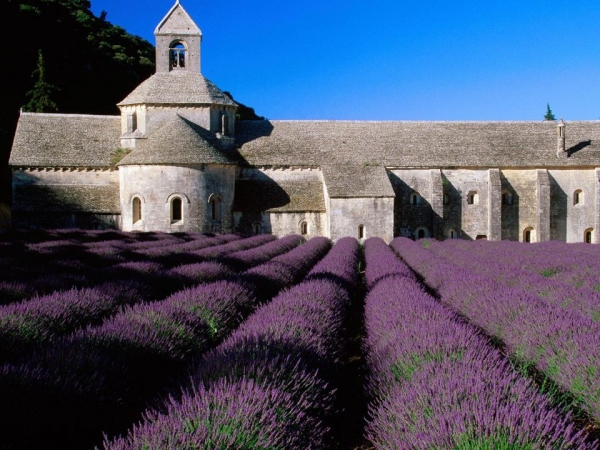 Bastide_de_S__nanque_mez___Provence.jpg
