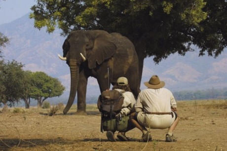 walking_safari_zimbabwe.jpg