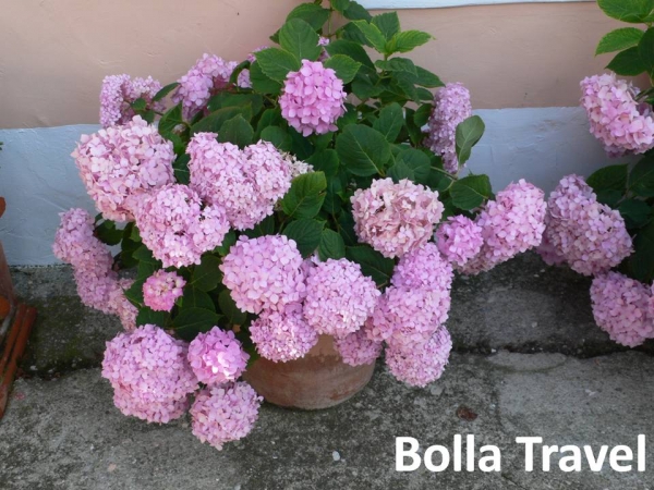 Bolla_Travel17.jpg