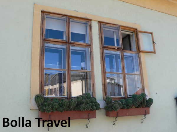 Bolla_Travel2.jpg