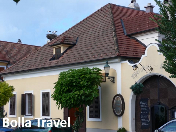 Bolla_Travel33.jpg