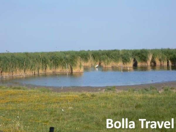 Bolla_Travel67.jpg