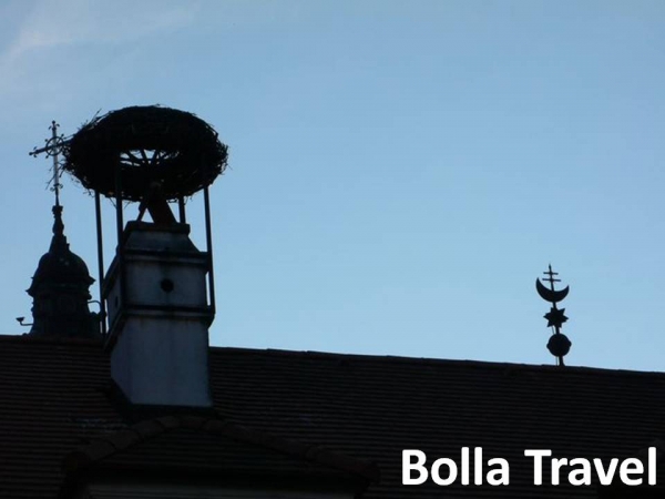 Bolla_Travel69.jpg