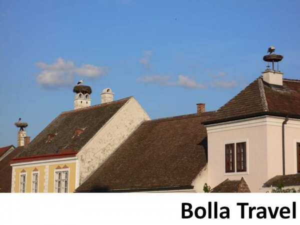 Bolla_Travel72.jpg
