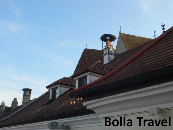 Bolla_Travel83.jpg