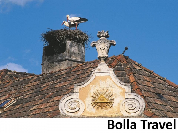 Bolla_Travel87.jpg
