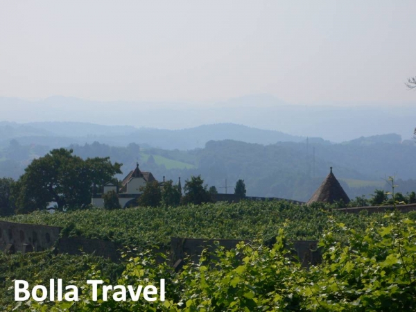Bolla_Travel4.jpg