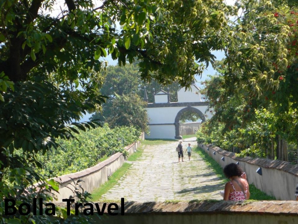 Bolla_Travel59.jpg