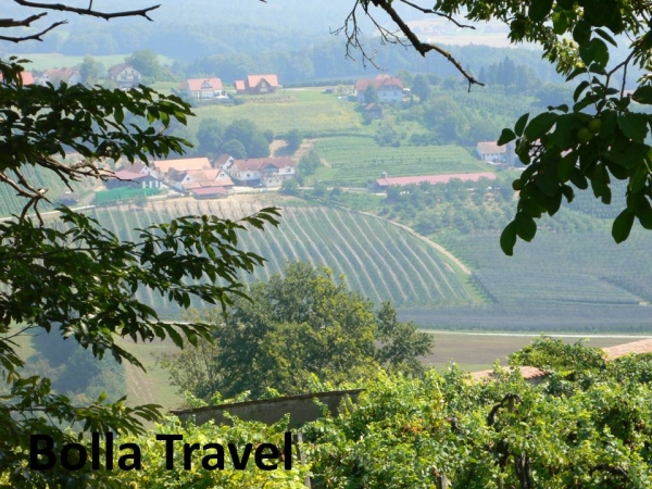 Bolla_Travel60.jpg