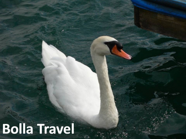 Bolla_Travel63.jpg