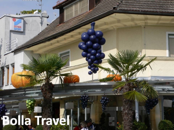 Bolla_Travel66.jpg