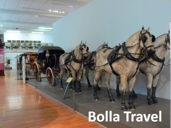 Bolla_Travel8.jpg